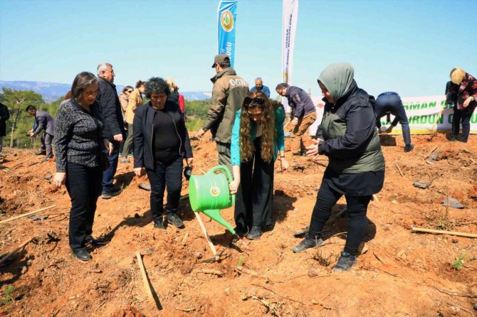 Avni Burak Yenice İçin Hatıra Ormanı