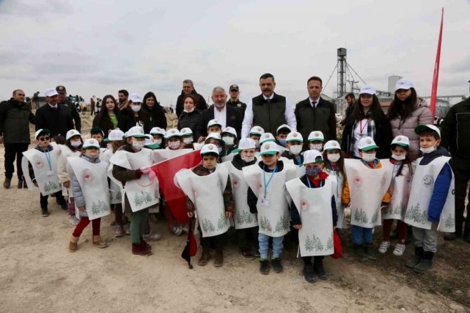 Çorum’da 70 Milyon 500 Bin Fidan Toprakla Buluştu