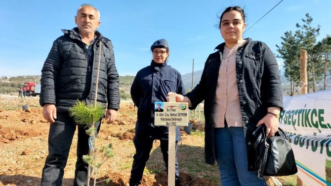 Osmaniye’de "Şehitler Ormanı" Oluşturuldu
