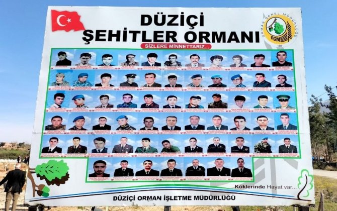 Osmaniye’de "Şehitler Ormanı" Oluşturuldu