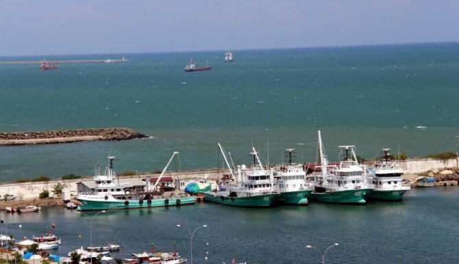 Mayın Sıkıntısı Yaşamayan Samsun’da Balıkçılar Çaça Avına Başladı