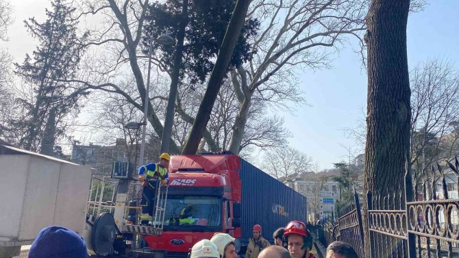 Sarıyer’de Dar Yolda Manevra Yapmaya Çalışan Tır Ağaca Çarptı