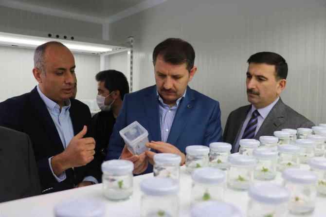 Sbtü Tarafından Cumhuriyet Teknokent’e 2 Şirket Kuruldu