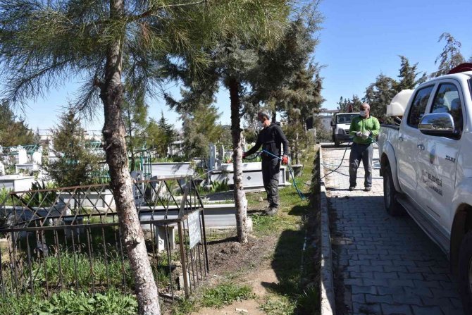 Siirt’te Mezarlıklarda İlaçlama Çalışması