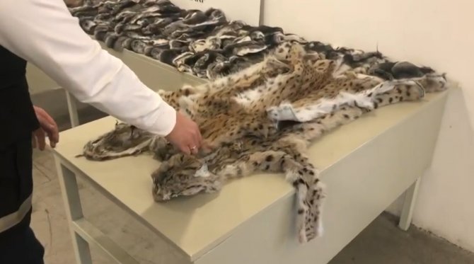 Gümrük Muhafaza Ekiplerinden Kaçakçılara Büyük Darbe