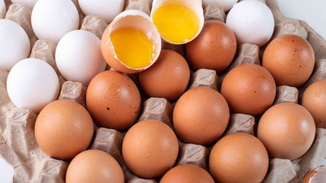 Tgdf’ye Katılımlar Devam Ediyor