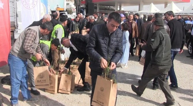 Şanlıurfa Bal Ve Badem Üretiminde Çıtayı Yükseltti