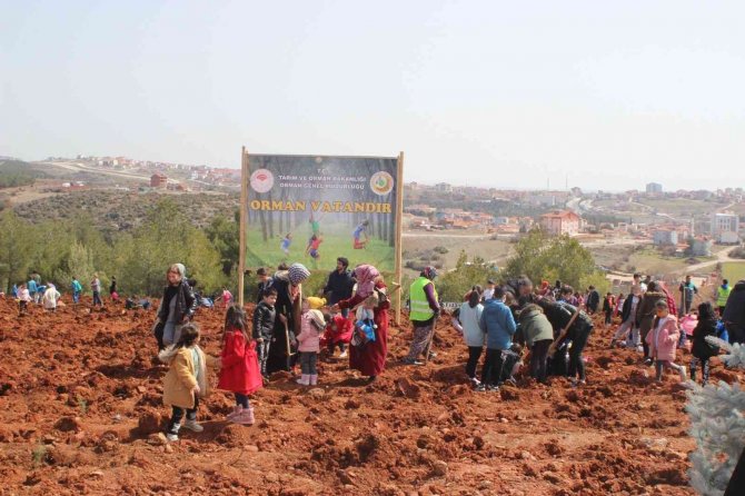 Uşak’ta Yüzlerce Öğrenci 3 Bin 250 Sedir Fidanını Toprakla Buluştu