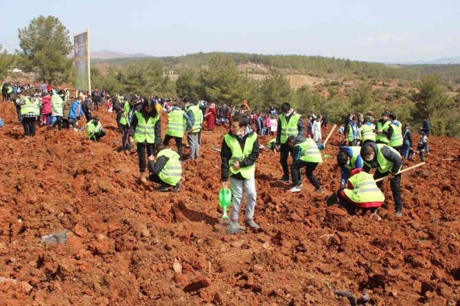 Uşak’ta Yüzlerce Öğrenci 3 Bin 250 Sedir Fidanını Toprakla Buluştu