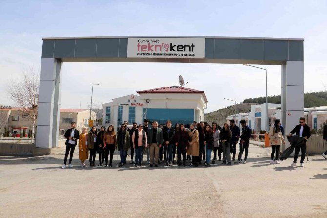 Keman Resitali Eşliğinde Bahar Temizliği