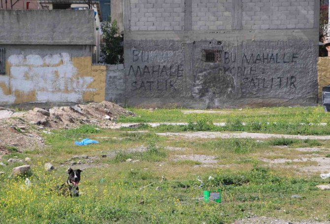 Adana’nın En Sorunlu Mahallesine Kentsel Dönüşüm Neşteri