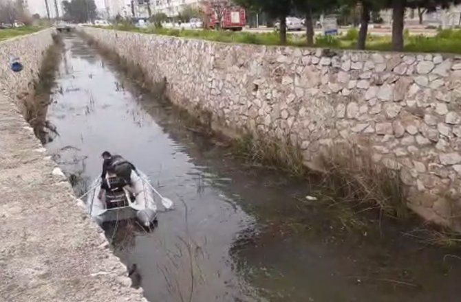 Antalya’da Kanala Düşen Köpek, Ekipleri Peşine Taktı
