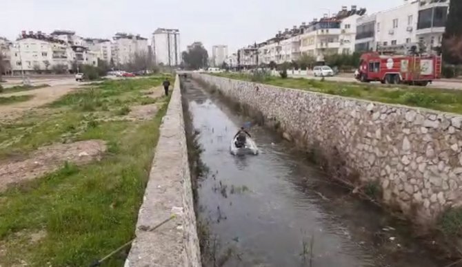 Antalya’da Kanala Düşen Köpek, Ekipleri Peşine Taktı