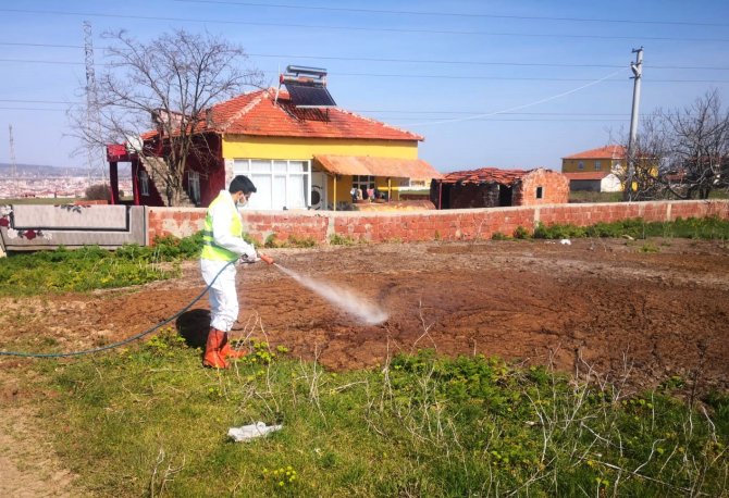 Bafra Belediyesi’nden Sivrisineklere Karşı Larva Mücadelesi
