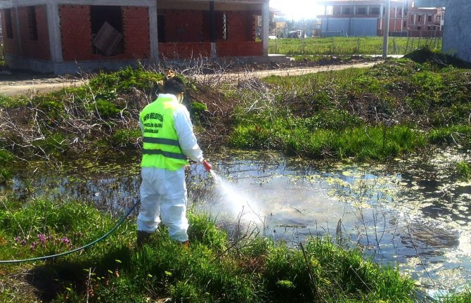 Bafra Belediyesi’nden Sivrisineklere Karşı Larva Mücadelesi