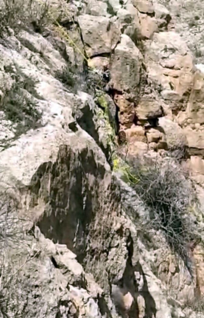 Dağlık Alanda Mahsur Kalan Keçi Afad’ın 4 Saatlik Çalışmasıyla Kurtarıldı