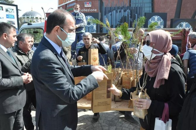 Biga’da Ücretsiz Fidan Dağıtıldı