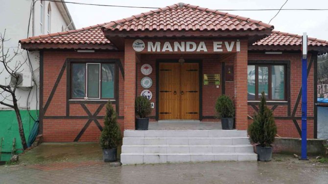 Manda Yoğurdu Tartışmasına Karaoğlan Sakinleri De Katıldı