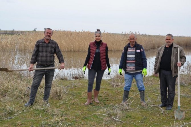 Balıkdamı’nda Kuluçkaya Yatan Kuşlar İçin Söğüt Fidanı Dikildi