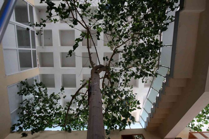 Yıkılacak Kütüphanede Son Kez Kütüphaneler Haftası Kutlandı