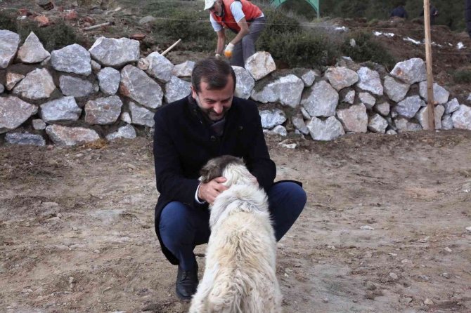 Gürsu’ya Hayvan Bakım Ve Tedavi Merkezi