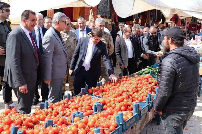 Polateli İlçesinde İlk Kez Halk Pazarı Açıldı