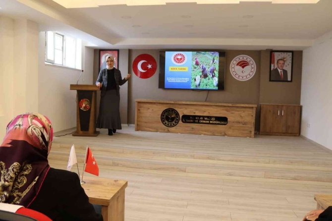 Kilis’te Kadın Çiftçiler Kekik İle Tanıştırılıyor