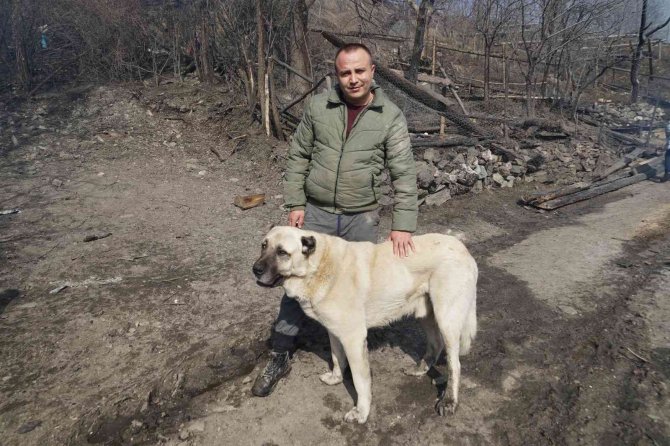 Kendilerini Yangından Kurtaran Köpeği Gözyaşları İçinde Sevdiler