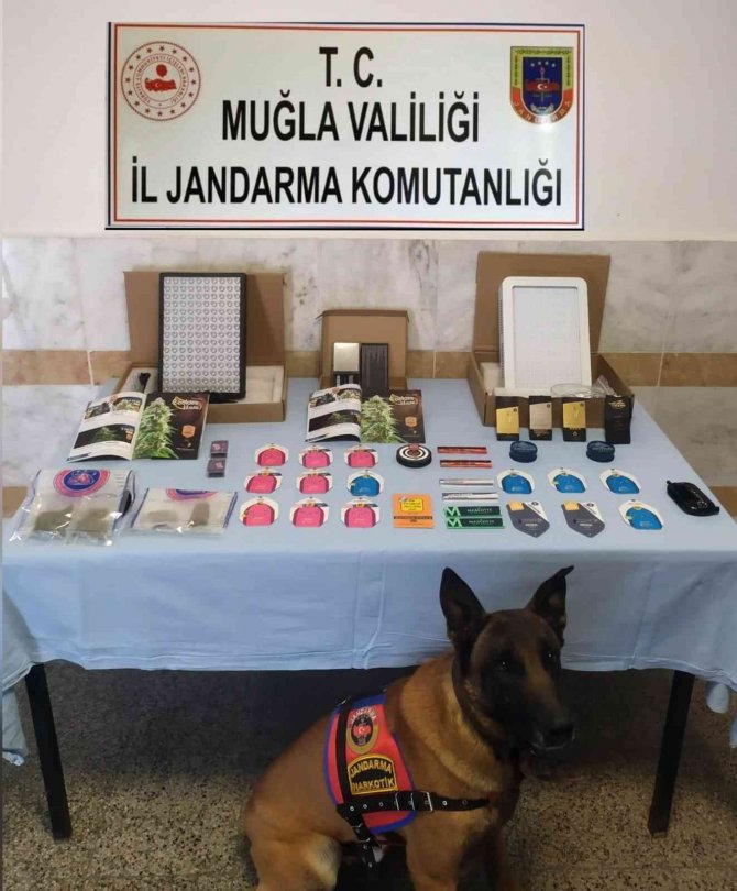 Uyuşturucu Operasyonu: 1 Tutuklama