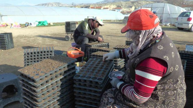 30 Milyon Tohum Toprakla Buluştu