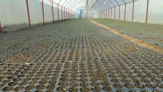 30 Milyon Tohum Toprakla Buluştu