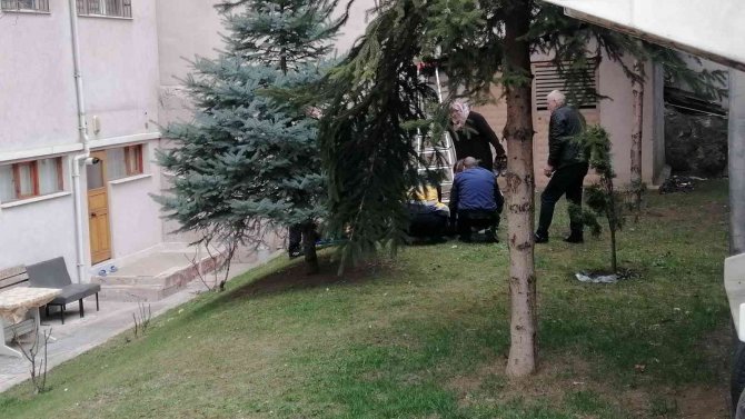 Budama Yaptığı Ağaçtan Düşen Vatandaş Yaralandı