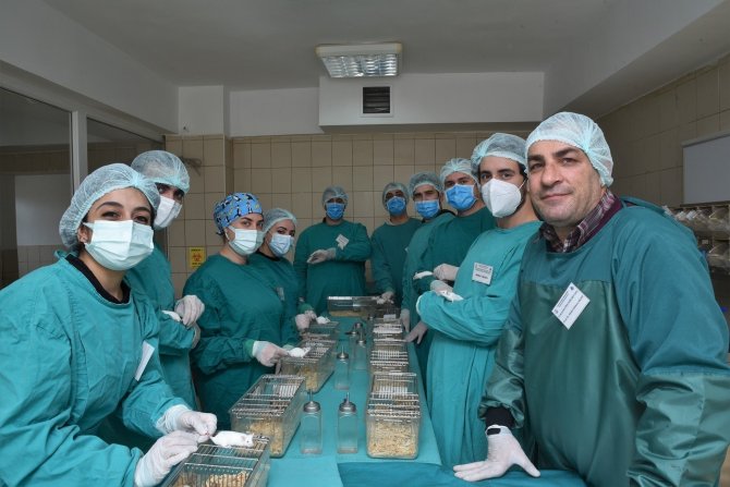 12 Farklı Şehirden Ve 13 Üniversiteden 130 Katılımcıya Deney Hayvanı Eğitimi