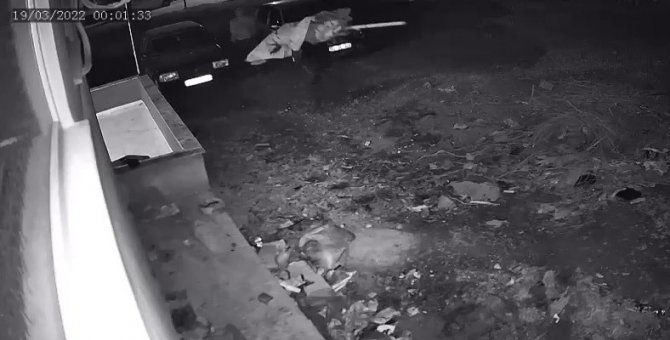 Şemsiye Hırsızları Önce Kameraya Sonra Polise Yakalandı