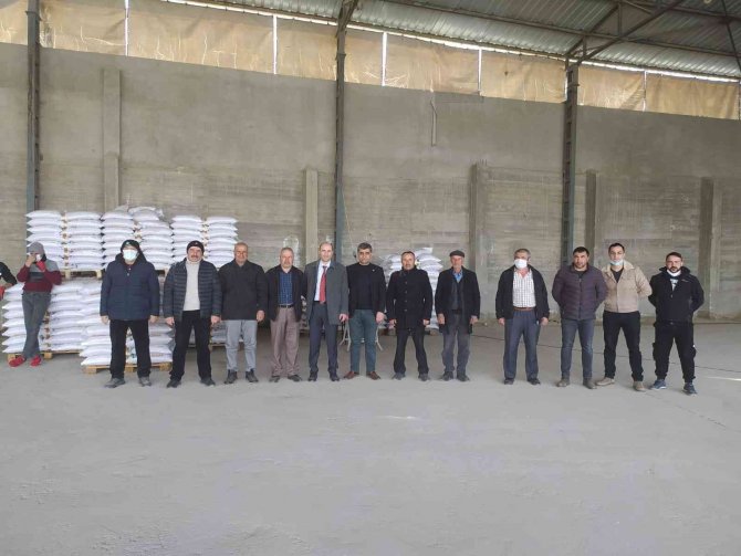 Sungurlu’da Üreticilere 10 Ton Nohut Tohumu Dağıtıldı