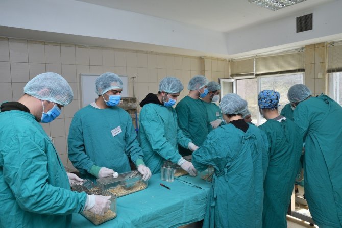 12 Farklı Şehirden Ve 13 Üniversiteden 130 Katılımcıya Deney Hayvanı Eğitimi