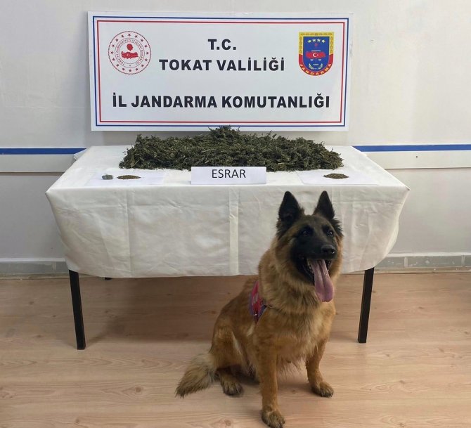 Tokat Merkezli 3 İlde Uyuşturucu Operasyonu: 24 Kişi Gözaltı