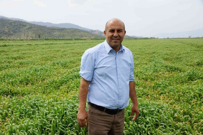 Üniversitenin Buğdayları, Yokluk Çektirmeyecek