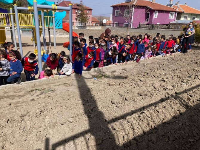 Altıntaş’ta Öğrencilere Ağaç Budama Eğitimi