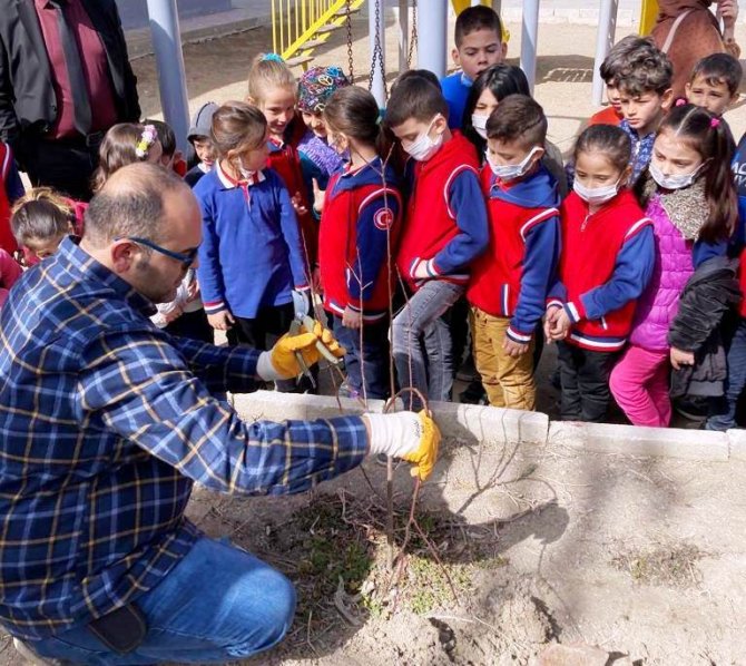 Altıntaş’ta Öğrencilere Ağaç Budama Eğitimi