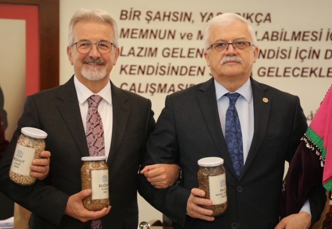 Ata Tohumları Burhaniye’de Üretilecek