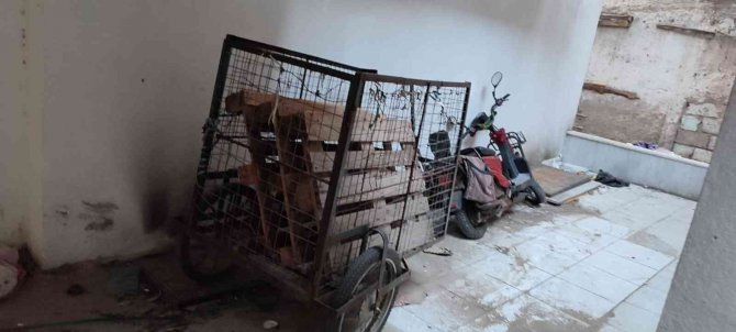 Elektrikli Bisiklet Hırsızları Bekçiler Den Kaçamadı