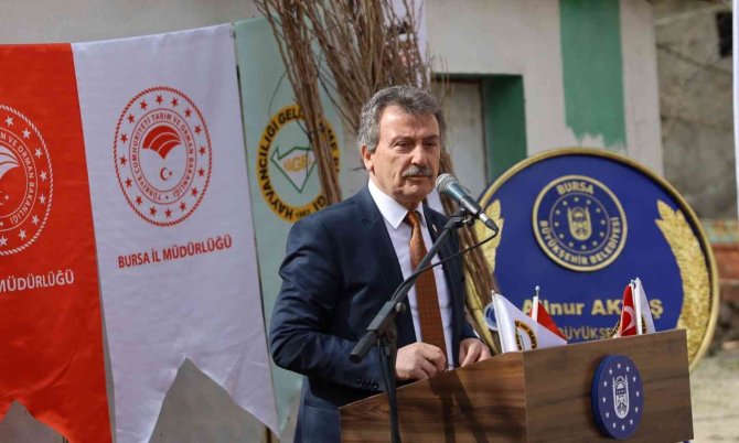 Mudanyalı Çiftçiye Trabzon Hurması Desteği