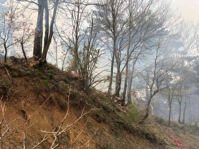 Bursa Dağyenice’de Orman Yangını
