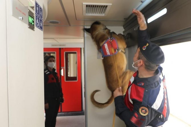 Bursa Jandarmasından Trende Köpekli Denetim