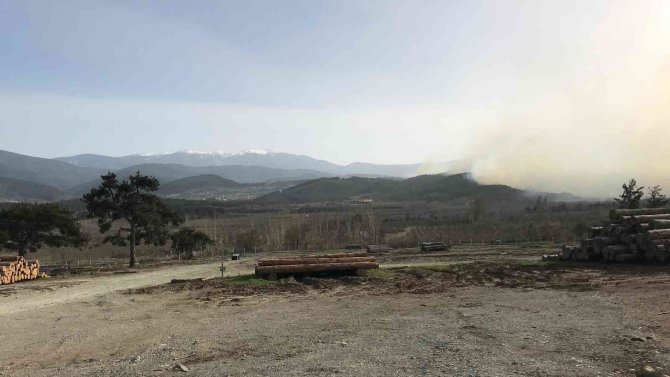 Bayramiç’teki Orman Yangını Devam Ediyor