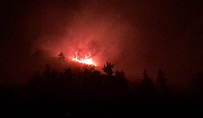 Çanakkale’deki Orman Yangını Soğuk Hava Deposu Tesislerini Tehdit Ediyor