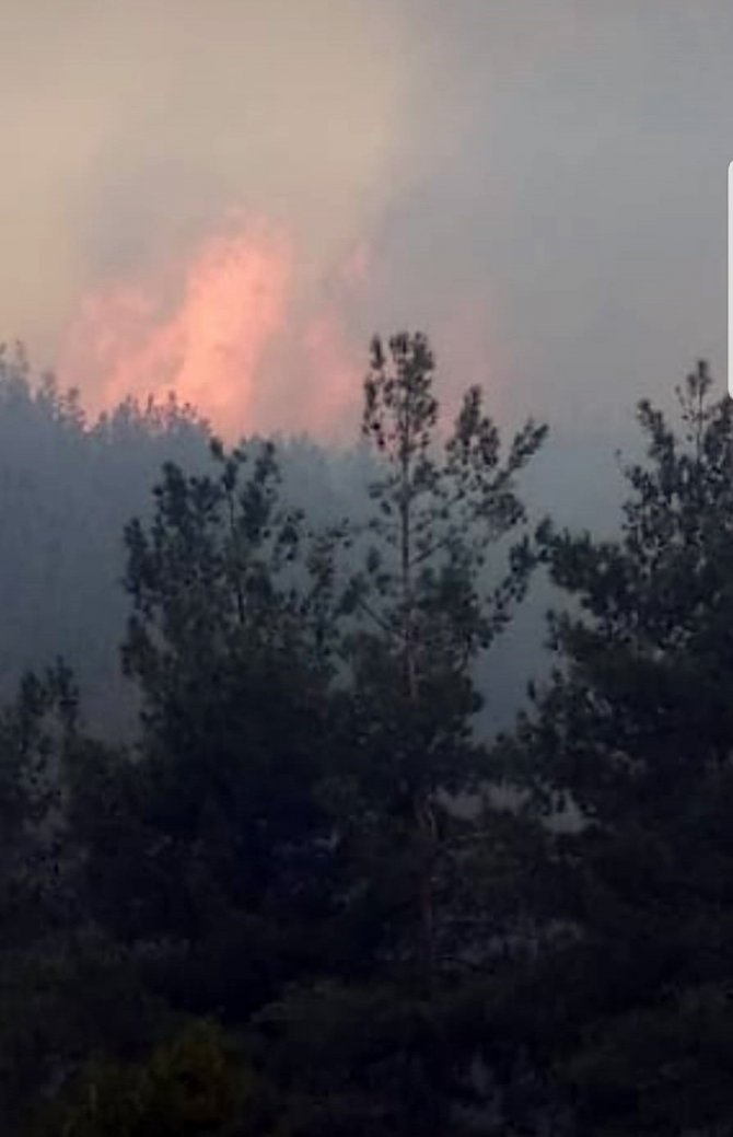 Çanakkale’de Orman Yangını