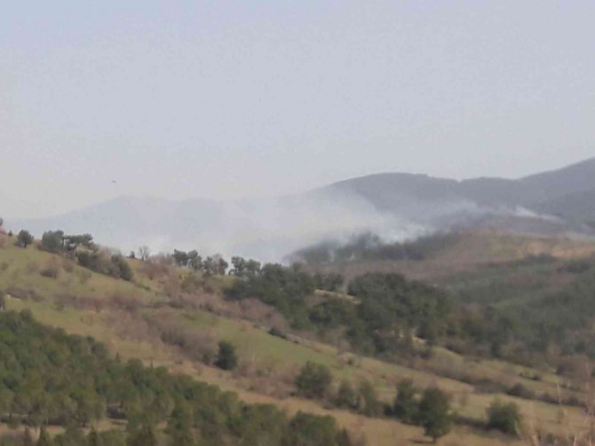 Çanakkale’de Orman Yangını