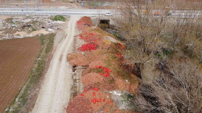 Çorum’da Yol Kenarına Dökülen Tonlarca Soğan Havadan Görüntülendi